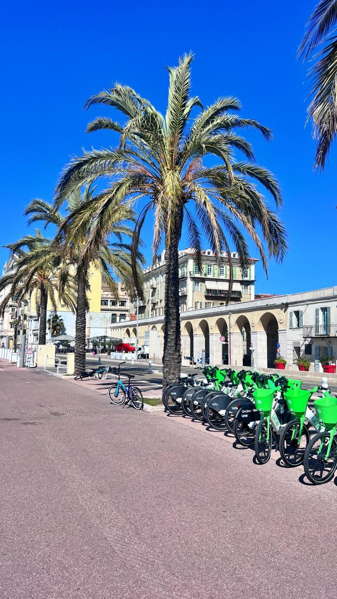 L'Arche Du Vieux Nice Apartment ภายนอก รูปภาพ